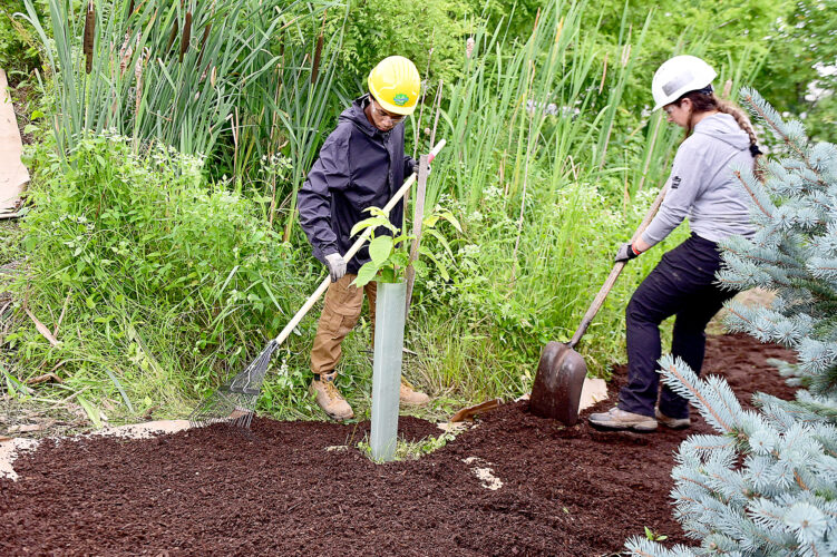 Going green: Local eco groups team up with students to clean area parks